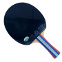 Ракетка для настільного тенісу 729 FS Golden 4 Star