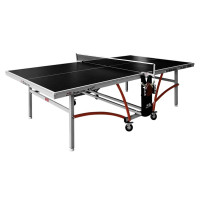 Тенісний стіл Double Fish DF 352